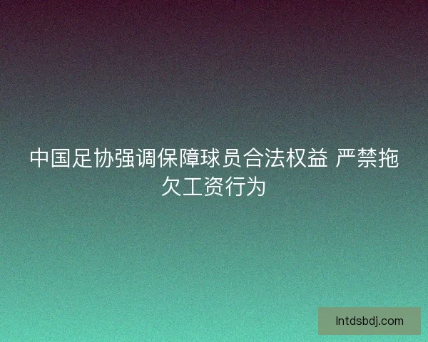 中国足协强调保障球员合法权益 严禁拖欠工资行为